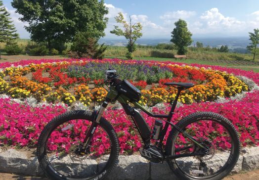 花壇と自転車